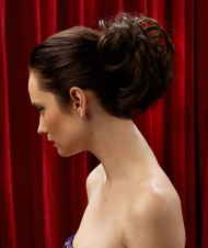 Clip In Updo Hairdo By Ken Paves Beautiful Wigs And Hairpieces